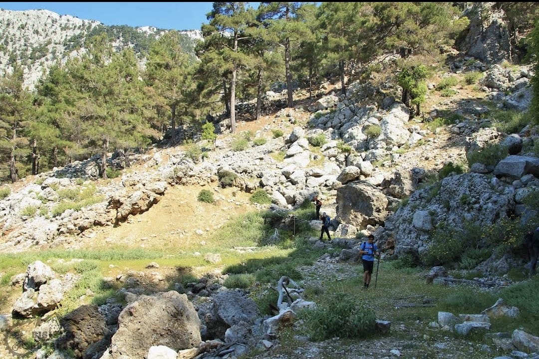 Tour Image 4